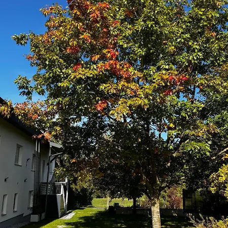 Appartamento Bergland 4-2 Petzenkirchen